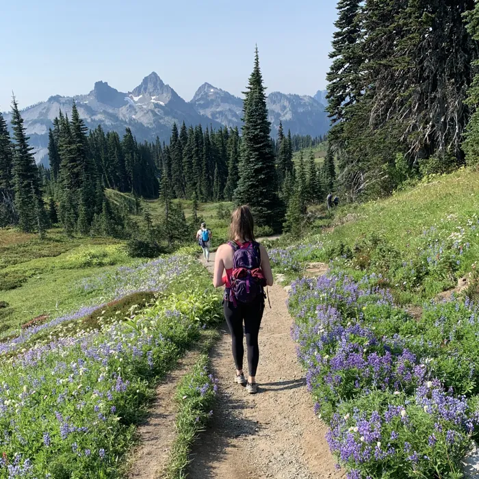 Hiker on a scenic mountain trail surrounded by wildflowers, trees, and alpine peaks during a backcountry hike.